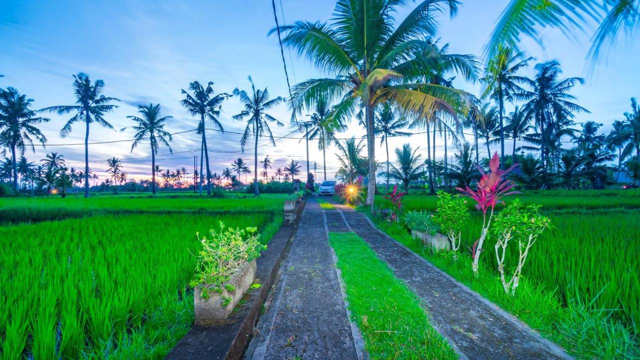 Maruan Sari Apartment Ubud  Exterior photo