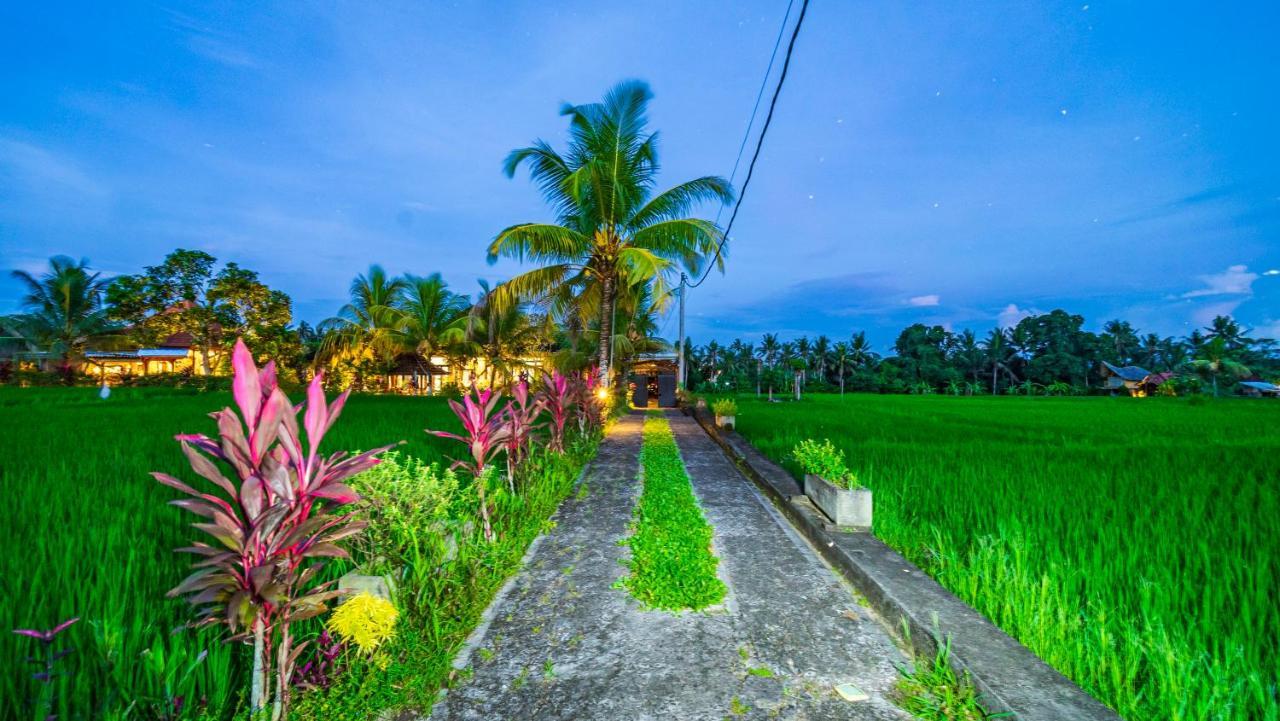 Maruan Sari Apartment Ubud  Exterior photo